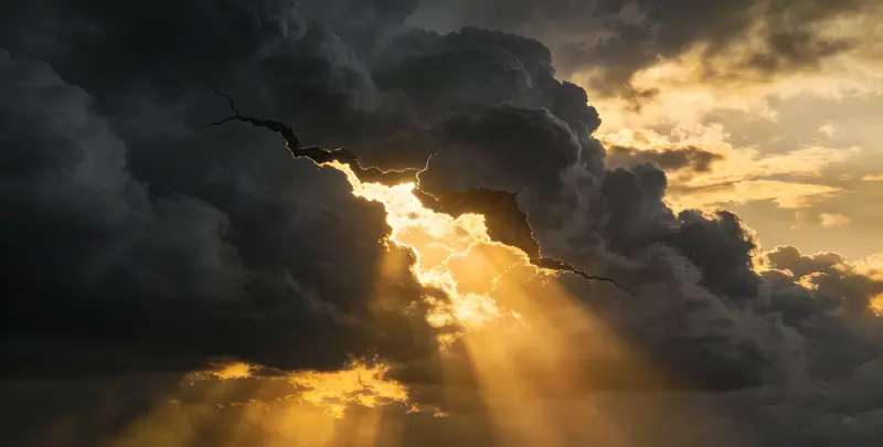 岳阳肺癌8基因突变检测（组织）图片1