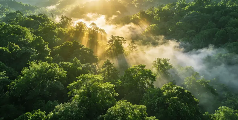 岳阳肺癌靶向120基因检测（组织）图片1