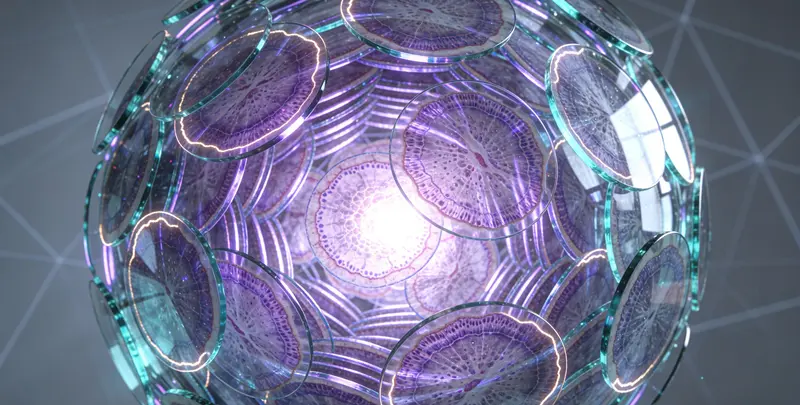 泛实体瘤1238基因检测图4